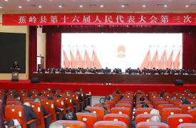 两会看检察丨全票通过！